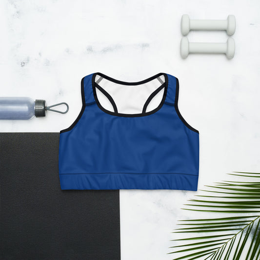 A Little Blue Sports bra